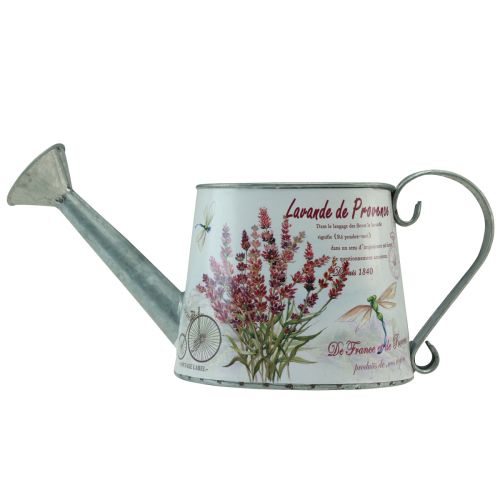 daiktų Dekoratyvinis laistytuvas metalinis levandų ąsotis 30×11cm H14,5cm