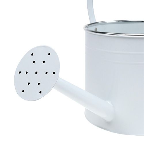 Floristik24 Dekoratyvinė laistytuvas balta Ø17cm H17cm 1vnt