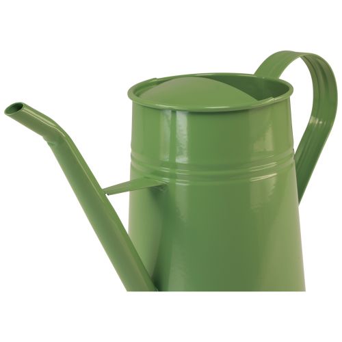 daiktų Dekoratyvinė laistytinė metalinė kambarinė mėtinė 1,7L H23cm