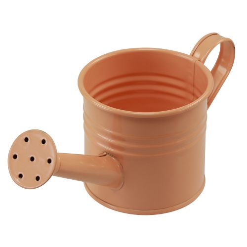 daiktų Dekoratyvinė laistytuvas metalinis spalvotas 16,5x7cm 8 vnt