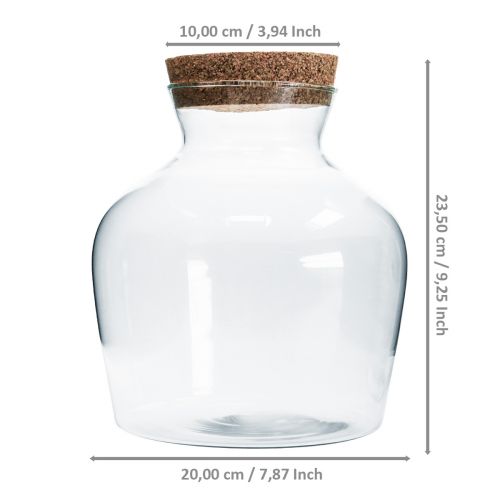 Floristik24 Dekoratyvinis stiklas su kamščiu Dekoratyvinė vaza skaidri svogūninė Ø20cm H21cm