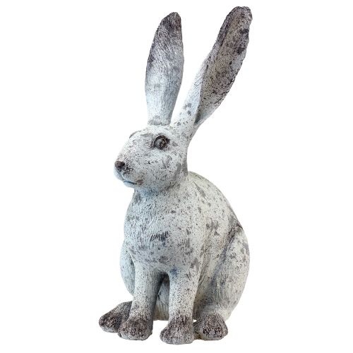 Floristik24 Dekoratyvinis triušis Sitting Shabby Chic White Dekoratyvinė figūra H46,5cm