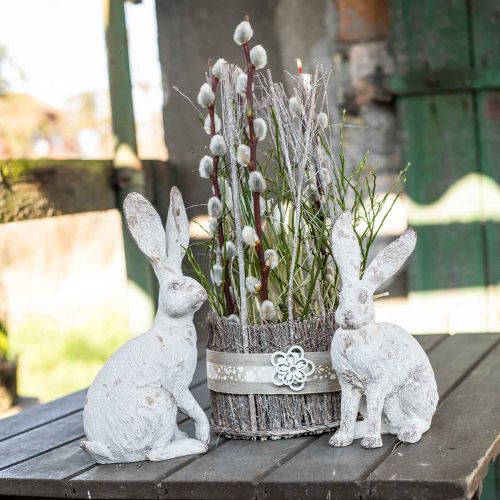 Floristik24 Dekoratyvinis triušio sėdėjimas shabby chic spyruoklinė dekoracija H25cm 2vnt