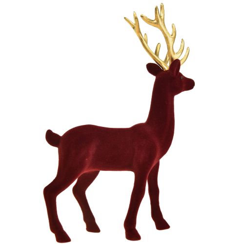 Floristik24 Deco Elnio elnio Bordo auksinė figūrėlė Flocked H37cm