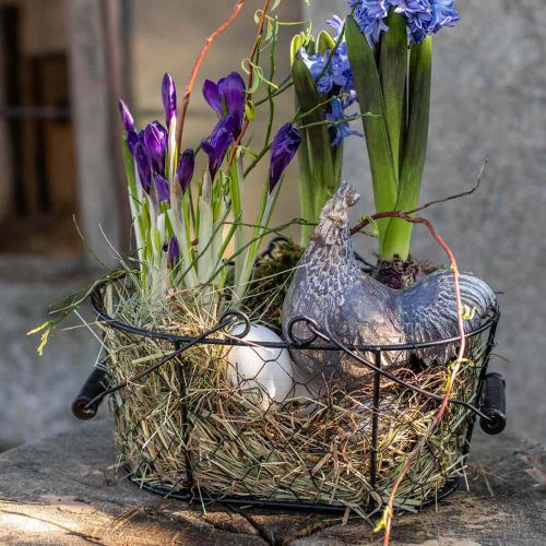 Floristik24 Deco vištienos dekoratyvinė figūrėlė sodo figūrėlė vištienos vintage H17cm 2vnt