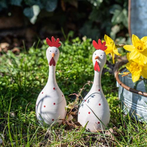 Floristik24 Dekoratyvinė vištienos mediena balta su taškeliais Velykinė figūrėlė Ø7cm H20cm