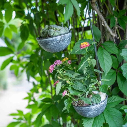 Floristik24 Dekoratyvinė mentele metalinė, dekoratyvinis dubuo kabinimui Pilka Ø13cm