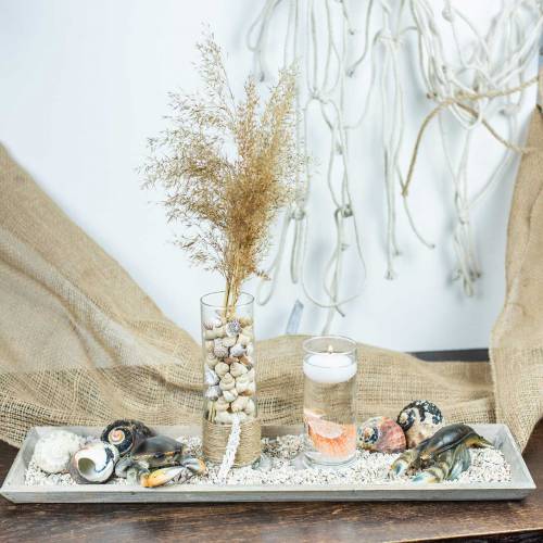 Floristik24 Deco krabas ir omaras 11cm - 15cm