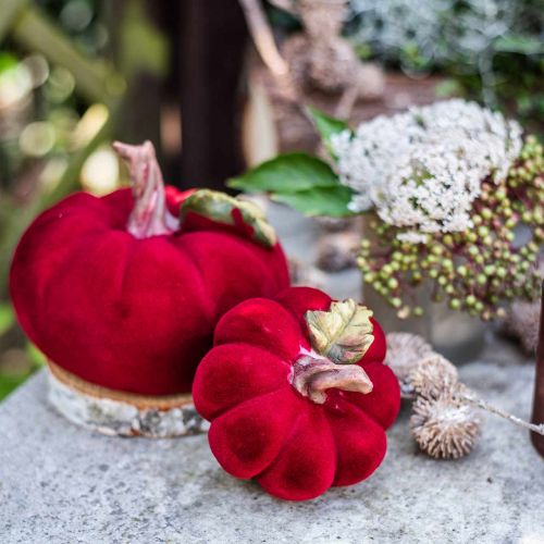 Floristik24 Deco moliūgų raudona stalo puošmena rudens poliresin 10,5×9cm 2vnt