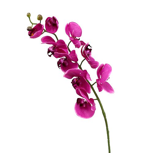 Floristik24 Dekoratyvinė orchidėja rožinė L77cm