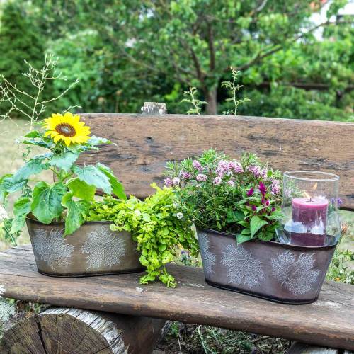 Floristik24 Dekoratyvinis augalų vazonas su lapais ovalus cinko metalo pilka, oranžinė, ruda 38 × 20cm H15cm 3vnt.