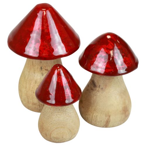 daiktų Dekoratyviniai grybai mediniai grybai raudono blizgaus rudens dekoracija H6/8/10cm rinkinyje 3 vnt