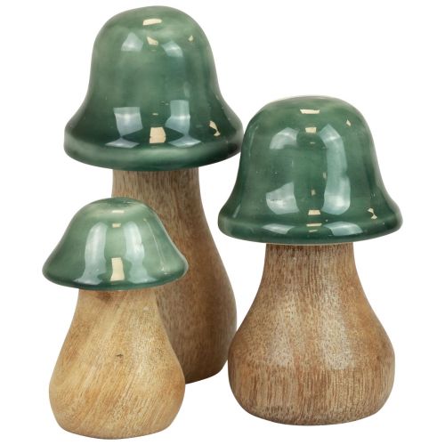daiktų Dekoratyviniai grybai mediniai grybai tamsiai žali blizgūs H6/8/10cm 3 vnt