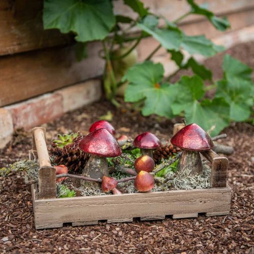 Floristik24 Deco grybai stiklinė raudona vintažinė rudens puošmena Ø9cm A13,5cm 2vnt