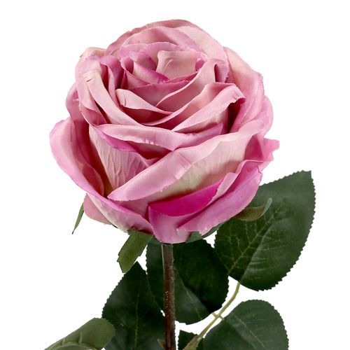 daiktų Dekoratyvinės rožės užpildytos senai rožinės spalvos Ø10cm L65cm 3vnt