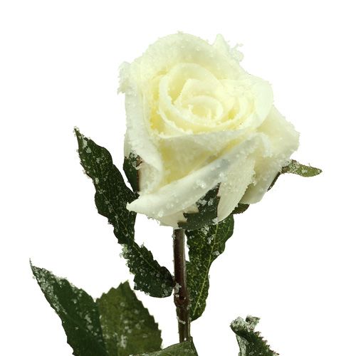 daiktų Dekoratyvinė rožė balta apsnigta Ø6cm 6vnt