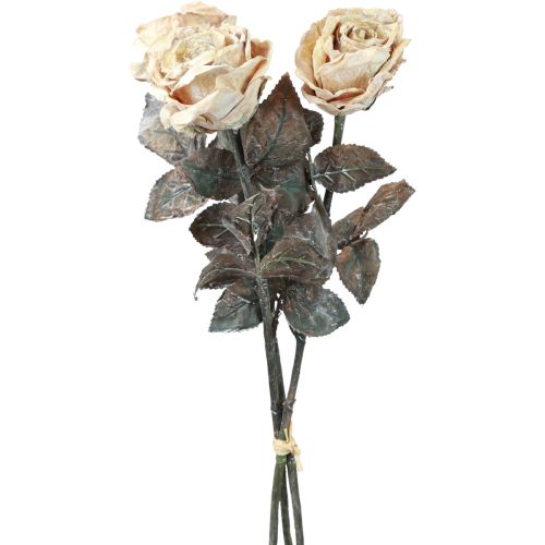 Floristik24 Dekoratyvinės rožės kreminės baltos Dirbtinės rožės Šilkinės gėlės Antikvarinis išvaizda L65 cm 3 vnt.