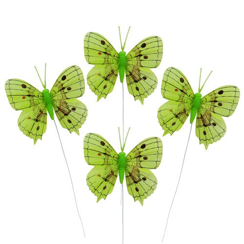 Floristik24 Dekoratyviniai drugeliai žali 8cm 6vnt