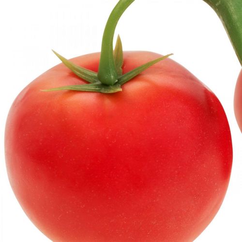 daiktų Deco pomidorų raudona maistinė manekeno pomidorų keptuvė L15cm