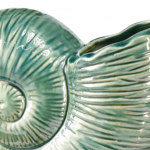 Floristik24 Dekoratyvinė vaza sraigės kiautas keraminė žalia 18x8,5x15,5cm