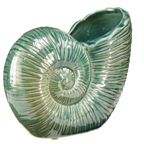 Floristik24 Dekoratyvinė vaza sraigės kiautas keraminė žalia 18x8,5x15,5cm