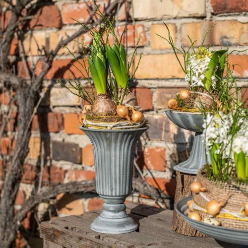 Floristik24 Dekoratyvinė vaza vintažinė taurė vaza taurė vaza pilka H21.5cm Ø15cm