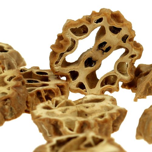 Floristik24 Riešutų griežinėliai 2cm natūralūs 250g