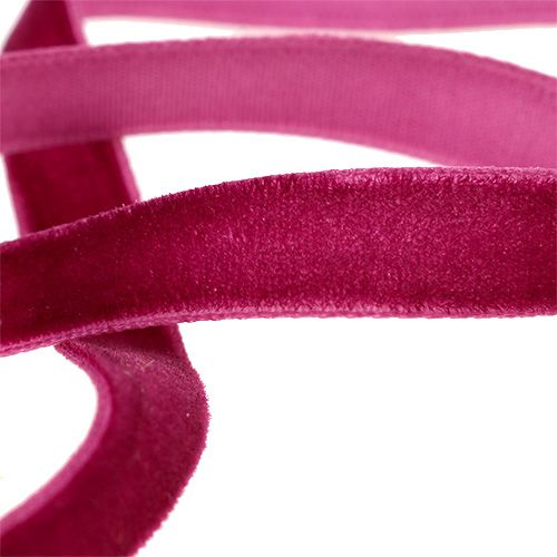 daiktų Dekoratyvinė juostelė Velvet Erika 10mm 20m