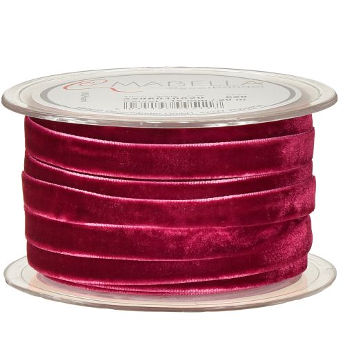 daiktų Dekoratyvinės juostelės Velvet Erika 10mm 20m