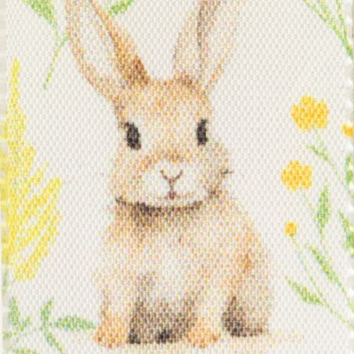 daiktų Dovanų juostelė su Velykų zuikučio motyvu šventinei pakuotei, 15 m