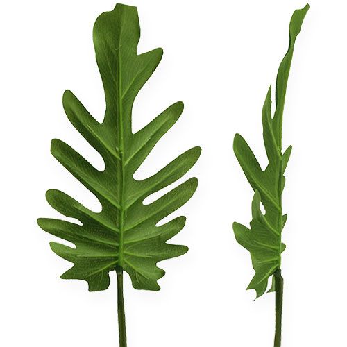 Floristik24 Dekoratyviniai lapai Filodendras žalias P11cm L34cm 6vnt
