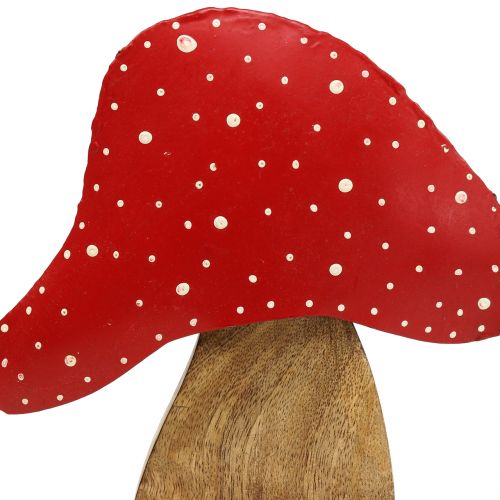 Floristik24 Dekoratyvinė figūrėlė rupūžė gamtos, raudona 25cm