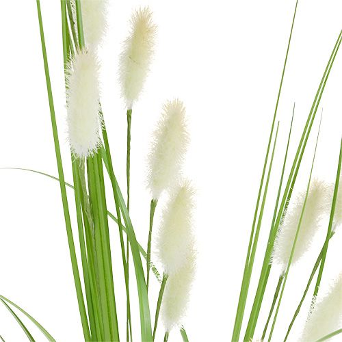 Floristik24 Dekoratyvinė žolė žalia L85cm