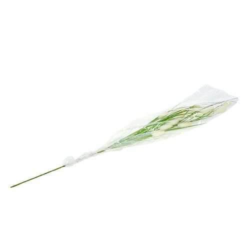 Floristik24 Dekoratyvinė žolė žalia L85cm