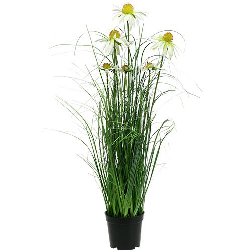 Dekoratyvinė žolė su ramunėlėmis vazonėlyje Dirbtinė 66cm