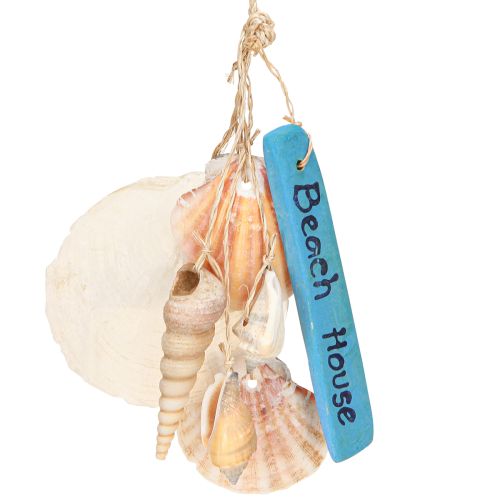 Floristik24 Dekoratyvinė kabykla Beach House Blue Capiz bokštinė sraigė H25cm