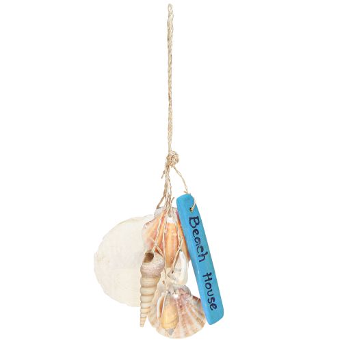 daiktų Dekoratyvinė kabykla Beach House Blue Capiz bokštinė sraigė H25cm