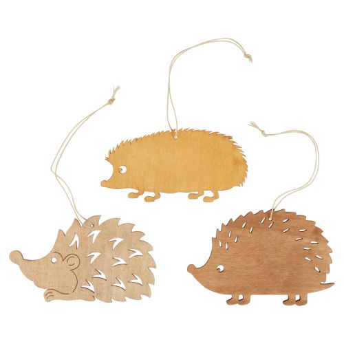 Floristik24 Dekoratyvinė kabykla medinė ežiuko dekoracija ruda natūrali oranžinė 12x10cm 12 vnt