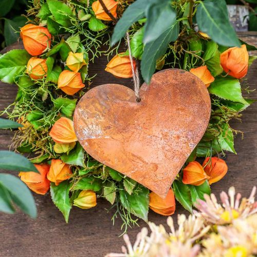 daiktų Dekoratyvinės metalinės širdelės, rudens dekoracijos, dekoratyviniai pakabukai, patina 14×15cm 6vnt