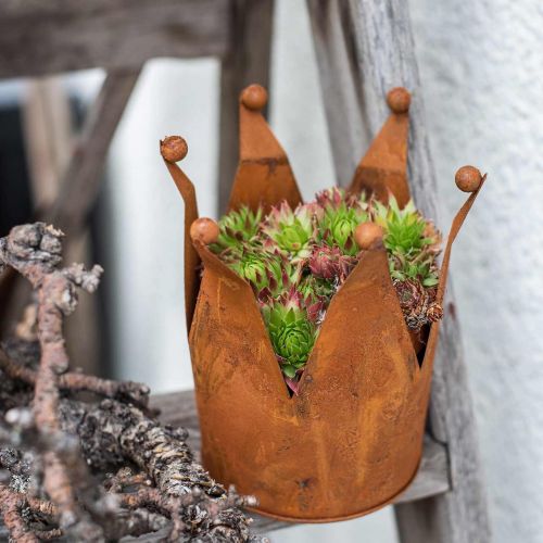 Floristik24 Dekoratyvinė karūna, metalo apdaila, patina Ø15cm H11,5cm