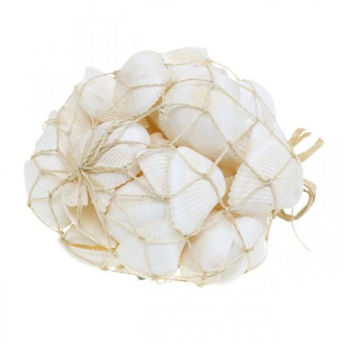 daiktų Deco Shell White Real kriauklės rafija tinkle deco maritime 400g