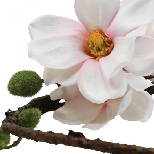 Floristik24 Dekoratyvinis žiedas dirbtinis magnolijos spyruoklinis papuošimas pakabinimui Ø24cm