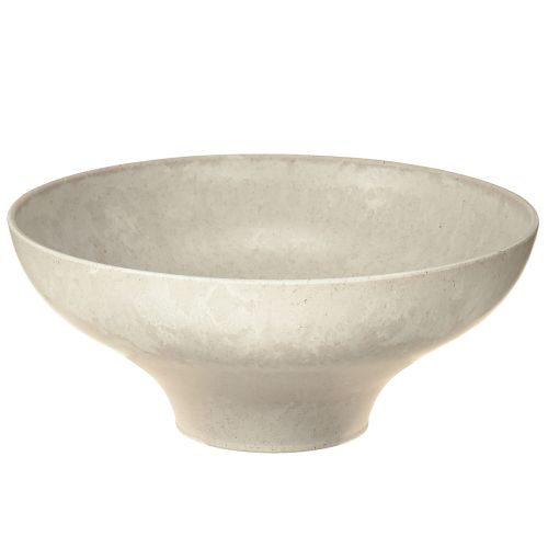 Floristik24 Dekoratyvinis dubuo su pagrindu, plastikinis, apvalus, kreminės spalvos, Ø19 cm, aukštis 8 cm