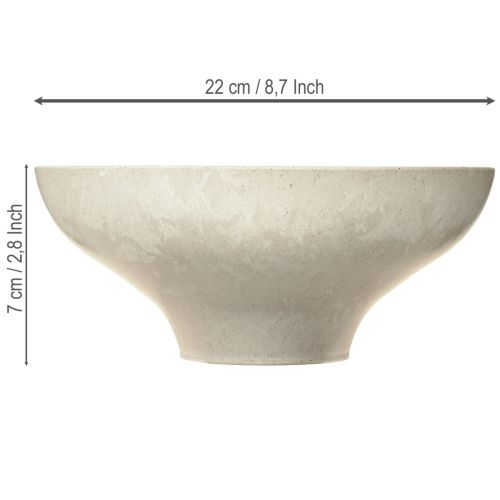 Floristik24 Dekoratyvinis dubuo su pagrindu, plastikinis, apvalus, kreminės spalvos, Ø19 cm, aukštis 8 cm