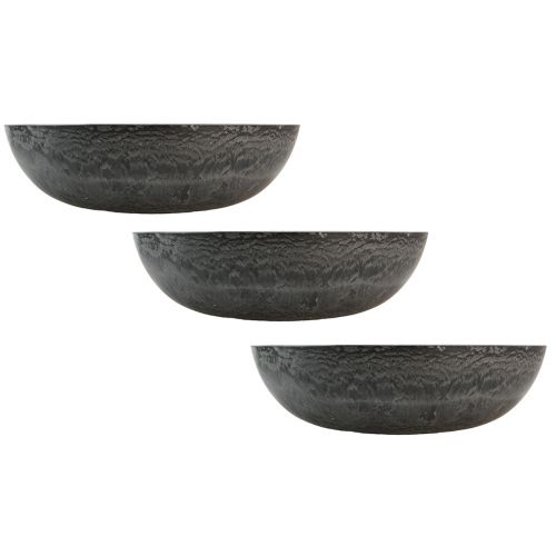 daiktų Dekoratyvinis dubuo apvalus augalinis dubenys pilkas Ø37cm A10,5cm 3vnt