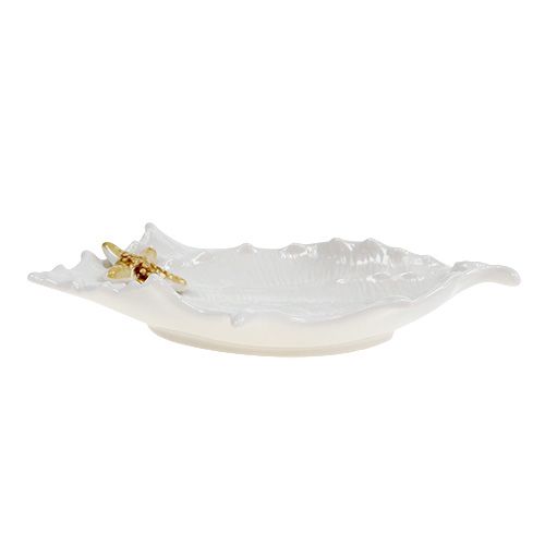 Floristik24 Dekoratyvinis kriauklelis su jūros žvaigžde 22cm