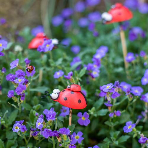 daiktų Deco kištukai ladybug ant pagaliuko medžio raudona, juoda 4cm x 2,5cm A23,5cm 16 vnt.