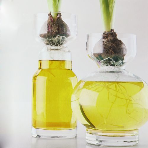 Floristik24 Dekoratyvinis vandens geltonas 150ml