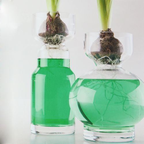 Floristik24 Dekoratyvinis vandens žalias 150ml