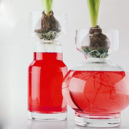 Floristik24 Dekoratyvinis vanduo raudonas 150ml